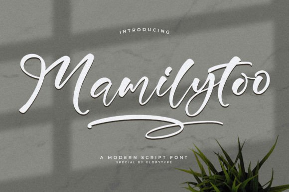 Mamilytoo: The Modern Script Font for Every Creative Project